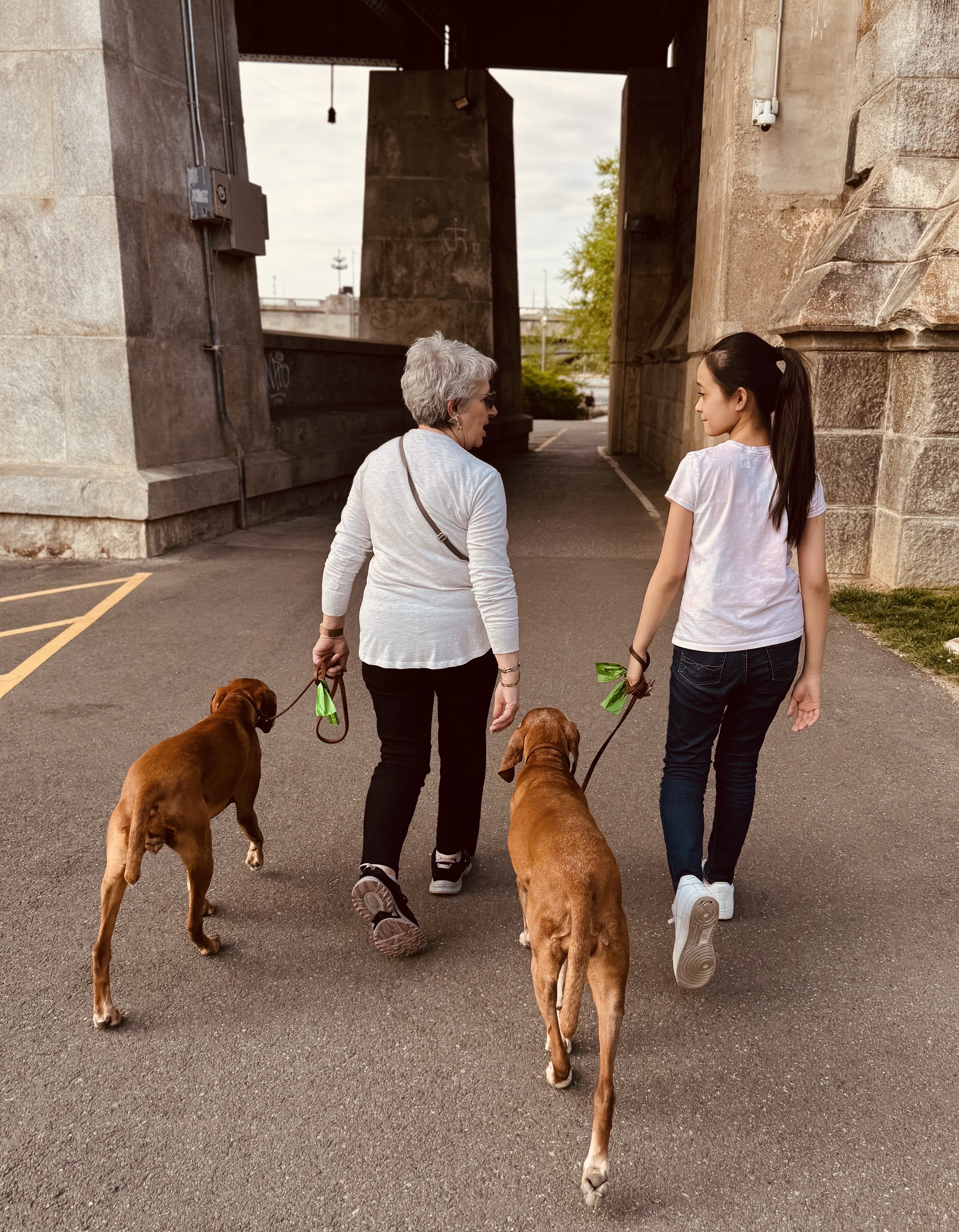 A peaceful walk in Philadelphia with Aida’s dogs